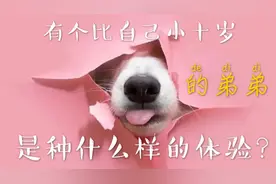 有个比自己小十岁的弟弟，是种什么样的体验？盘点有弟弟的好处！视频封面