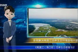 南渡江（海口段）沿岸生态修复与功能提升总体规划通过专家评审视频封面