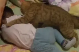 猫主子带娃有绝招，撒娇卖萌学喵叫，猫：小主人服务您还满意吗？