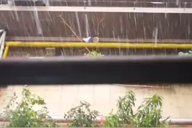 福州市区突降暴雨冰雹，场面震撼，实景呈现。视频封面