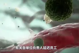 全国各位老总，梦圆公司：祝大家新年好！万事大吉！生意兴隆！视频封面
