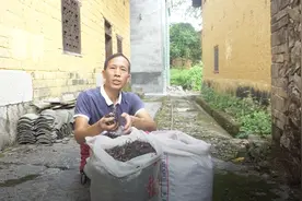 腐殖土是养花好材料，凯浪教你怎样给腐殖土消毒杀菌，3分钟学会