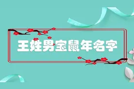 王姓男宝鼠年名字视频封面