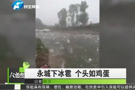永城突降冰雹！有的大如鸡蛋往下砸视频封面