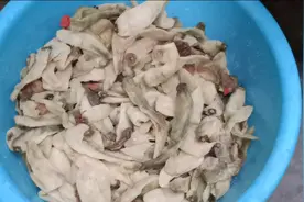 阿玲做的白辣椒没碰到好天气，幸好老妈家有柞干机，这下就放心了