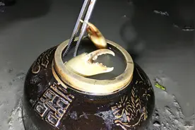 埋在泥巴中的酒坛子又装到大家伙了，这种抓蟹方法太有效了，过瘾视频封面