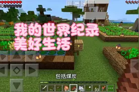 我的世界：生存模式真的比创造模式有趣！如何在一开始得到菜园？