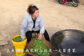 陕南农村四季离不了的酸菜，做法其实很简单，看完自己在家也会做