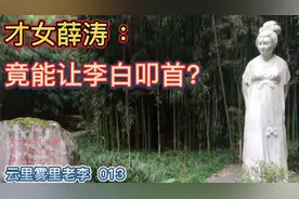 杨升庵说，薛涛之才，可让李白叩首！视频封面