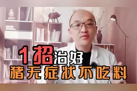 猪无症状不吃料，打针也没有效果，找出病因三招搞定后猪猛吃傻长视频封面