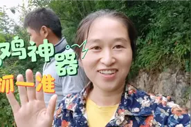 森哥20元买了个抓鸡神器，一抓一个准，再也不费力真是太值了视频封面