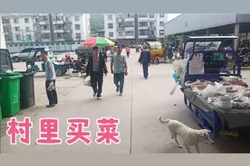 到浙江本地人村里买菜，做生意的都是外地人，还买了一只活鸭视频封面