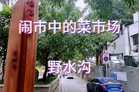 观音桥闹市里的老街.野水沟视频封面