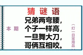 谜语：兄弟两弯腰，个字一样高，一旦……哥俩互相咬，打日常用品视频封面