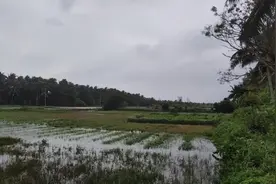 寻找神秘建筑——我国新一代火箭发射塔，“天问一号”的起飞地。视频封面