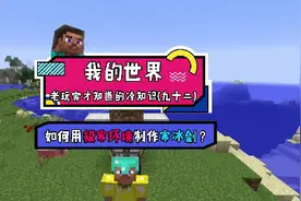 我的世界：带有冰冻效果的寒冰剑你见过吗？