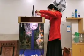 惠姐不知道新鱼过水后水不要的，结果连水带鱼倒鱼缸，这下麻烦了视频封面