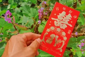 朋友闺女出嫁，小志要去沾喜气，红包咋包，多少合适视频封面