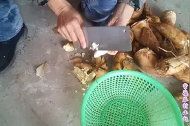 冬笋吃不完，看看小赵是如何把它保鲜处理，放到来年的！视频封面