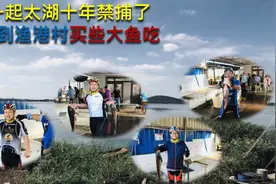 十一起太湖禁捕10年，骑车到渔港村买些大鱼吃视频封面