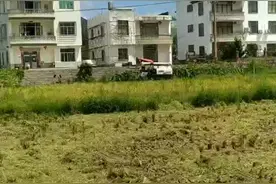 千万别当农民，真的无语！视频封面