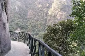 三清探秘，朝阳之下，巨蟒出山！视频封面