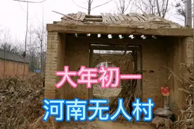 河南无人村遭废弃，十室九空，到底是什么原因造成了现在的局面视频封面