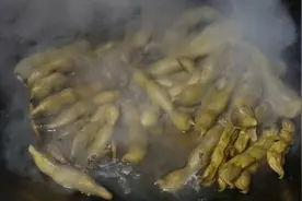 这植物吃了补肾壮腰，但处理不好会中毒，这代价你接受吗？视频封面