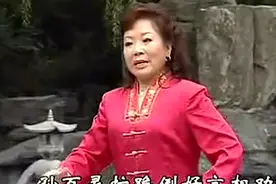 王红梅  秦腔演唱专辑  (珍藏版)