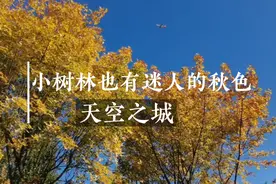 听久石让作曲的《天空之城》，郭宴中文演唱版，赏小树林的秋色视频封面