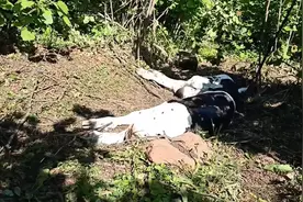 母牛的难产处理，一定要掌握的方法和技巧！