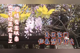 2020年疫情发生以来，已经正式复工，走出家门，你最想做什么？