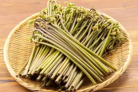 蕨菜，到底是能不能起到抗癌的作用？医生实话实说视频封面
