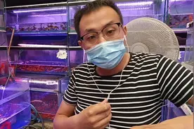 和大家聊聊日本黄粉！它的作用以及用法！有不明白的可以问我