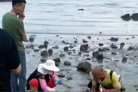 厦门海边电班节虾虾。视频封面