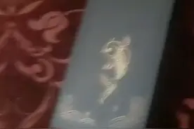 买了一个锦鲤卡不知道能不能优惠，下次买东西的时候试一下视频封面