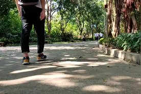 外地打工小伙，来深圳的笔架山公园里转转，11月份了还是绿油油的视频封面