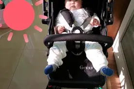 阳台也可以晒太阳，也算户外活动，那我们就呆两小时吧视频封面
