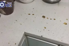 太缺德！大便从天而降飞进厨房，业主欲验DNA寻肇事者视频封面