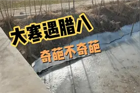 大寒将至，恰遇腊八牛年春节冷不冷？大寒节气有预报，看看就知道视频封面