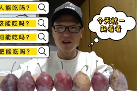 西梅营养价值高，这几类人要注意，吃了这些年要了解视频封面
