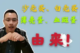 为什么产蛋鸡，要每月消一次输卵管炎呢！