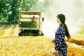 农村割麦忙，亳州杨老三用顺口溜说出小麦大丰收现状，句句大实话视频封面