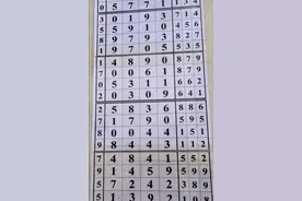 【琼岛浪花】大师。9月11日七星彩视频封面