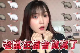 三个月没回宿舍，推开门传出一股恶臭，几十只老鼠在被子上做窝了视频封面