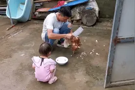 今天杀一只养了三年的老母鸡炖汤喝，汤鲜味美视频封面