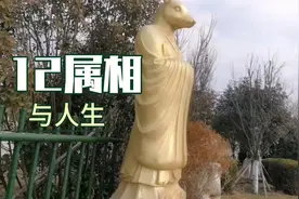 看12属相，体会100味人生