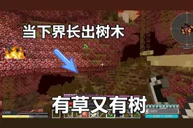 我的世界魔刀10：前往下界发现，下界长满了花花草草还有书！