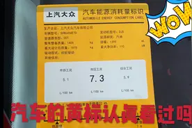 汽车的黄标是显示汽车燃油消耗量的重要标识，你有认真看过吗？视频封面