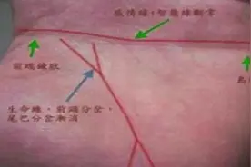 很多朋友在问，我也是断掌，为什么跟断掌描述不符，看看真假断掌视频封面